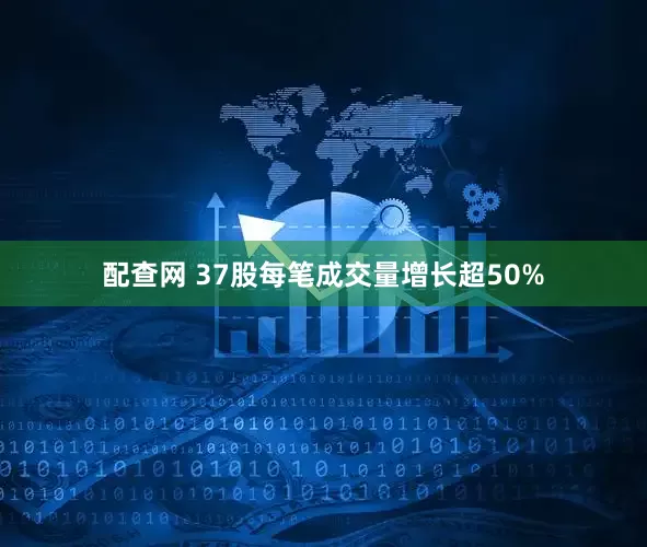 配查网 37股每笔成交量增长超50%