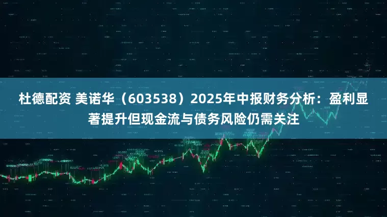 杜德配资 美诺华（603538）2025年中报财务分析：盈利显著提升但现金流与债务风险仍需关注