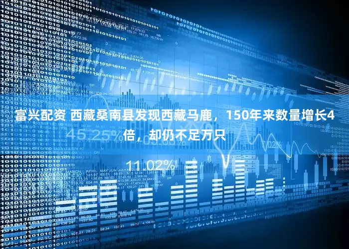 富兴配资 西藏桑南县发现西藏马鹿，150年来数量增长4倍，却仍不足万只
