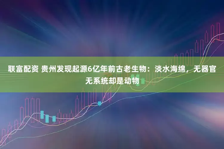 联富配资 贵州发现起源6亿年前古老生物：淡水海绵，无器官无系统却是动物