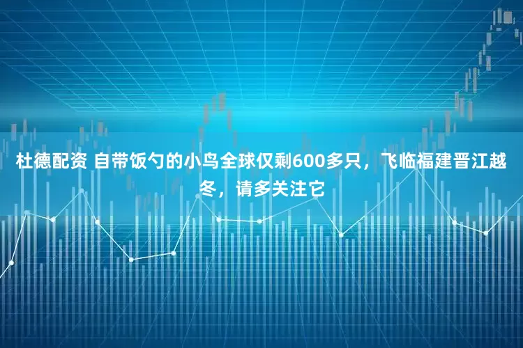 杜德配资 自带饭勺的小鸟全球仅剩600多只，飞临福建晋江越冬，请多关注它